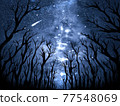 Looking up at the Milky Way 77548069