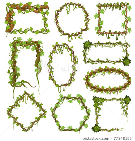 Liana vines frames. Tropical climbing rainforest plants with leaves, jungle liana plants borders vector illustration set. Green tropical hanging liana frames 77548195