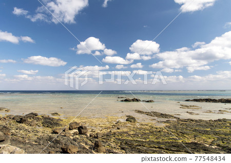 Amami Oshima's Ayamaru Misaki Coast Amami Oshima's Ayamaru Misaki Coast 77548434