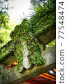 Old Torii Gate 77548474