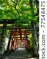 A continuous torii gate 77548475