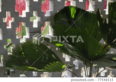 Lush tropical garden with assorted plants and flowers 77548513