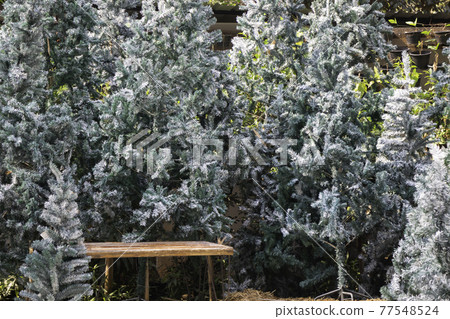 Beautiful green summer garden with outdoor chair Beautiful green summer garden with outdoor chair 77548524