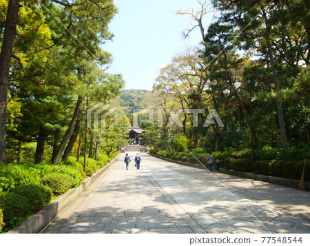 Road leading from Nene no Michi to Otani Sobyo (Higashiyama Ward, Kyoto City, Kyoto Prefecture) 77548544