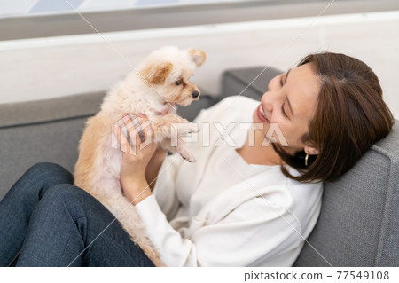 Young woman living with small dog 77549108