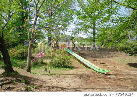Fresh green and azalea bloom, Kamagaya City, Chiba Prefecture, Municipal Memorial Park, Amusement Park 77549124