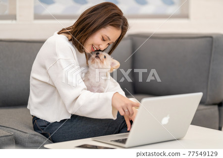 A young woman living with a small dog operating a computer A young woman living with a small dog operating a computer 77549129
