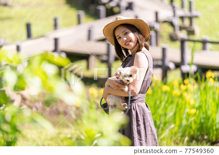 北高石故鄉公園，一位帶著小狗散步的年輕女子 77549360