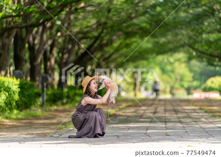 A young woman taking a walk with a small dog Kashiwanoha Park 77549474