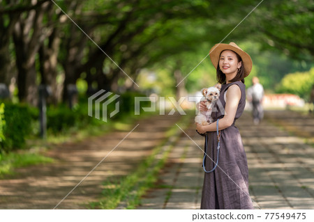 A young woman taking a walk with a small dog Kashiwanoha Park 77549475
