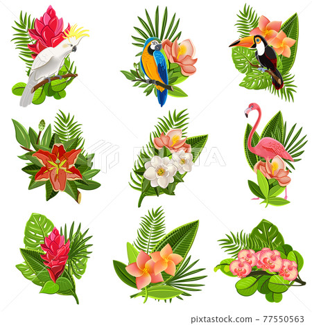 Tropical birds and flowers pictograms set - Stock Illustration ...