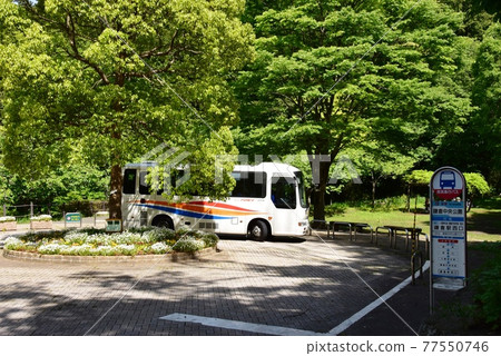 鎌倉市鎌倉中央公園京濱急行巴士站和Fresh Green 鎌倉市鎌倉中央公園京濱急行巴士站和Fresh Green 77550746