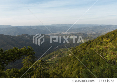 Tara mountain landscape at the viewpoint named Crnjeskovo. Western Serbia 77551078