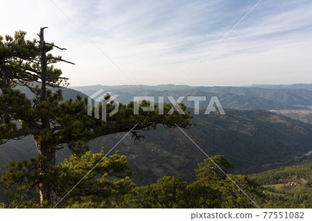 Tara mountain landscape at the viewpoint named Crnjeskovo. Western Serbia 77551082