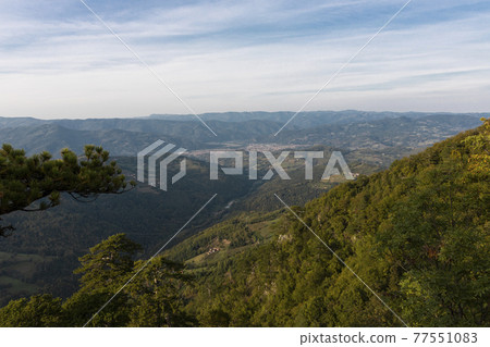 Tara mountain landscape at the viewpoint named Crnjeskovo. Western Serbia Tara mountain landscape at the viewpoint named Crnjeskovo. Western Serbia 77551083