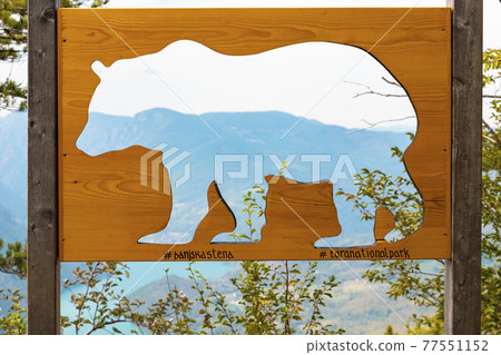 Bear sign at Tara National Park, Serbia. Viewpoint Banjska Stena Bear sign at Tara National Park, Serbia. Viewpoint Banjska Stena 77551152