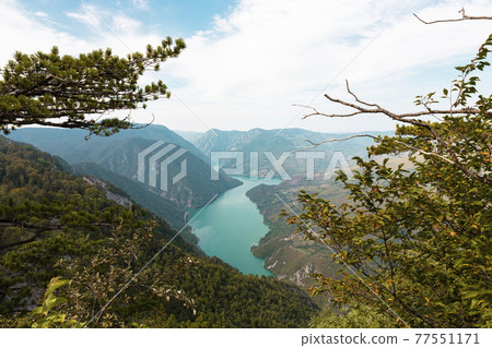 Tara National Park, Serbia. Viewpoint Banjska Stena. View at Drina river canyon and lake Perucac with Focus on the lake and canyon 77551171