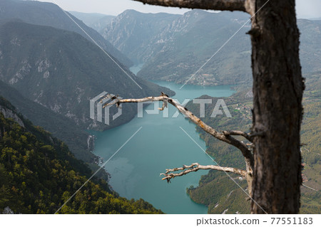 Tara National Park, Serbia. Viewpoint Banjska Stena. View at Drina river canyon and lake Perucac with Focus on the lake and canyon 77551183