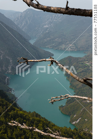 Tara National Park, Serbia. Viewpoint Banjska Stena. View at Drina river canyon and lake Perucac with Focus on the lake and canyon Tara National Park, Serbia. Viewpoint Banjska Stena. View at Drina river canyon and lake Perucac with Focus on the lake and canyon 77551188