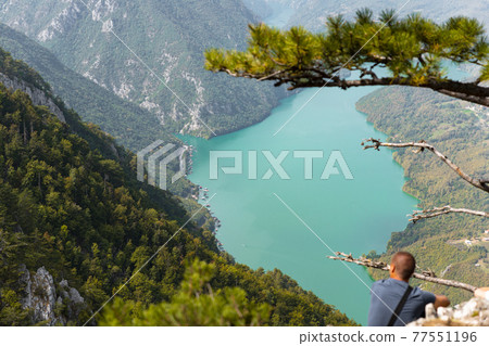 Tara National Park, Serbia. Viewpoint Banjska Stena. View at Drina river canyon and lake Perucac with Focus on the lake and canyon Tara National Park, Serbia. Viewpoint Banjska Stena. View at Drina river canyon and lake Perucac with Focus on the lake and canyon 77551196