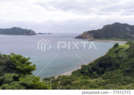 奄美群島掛間島的多連 奄美群島掛間島的多連 77551771