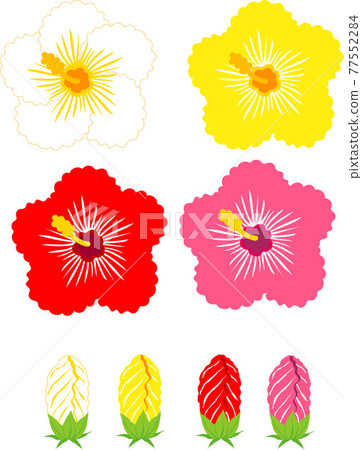 芙蓉花和芽的插圖素材 77552284