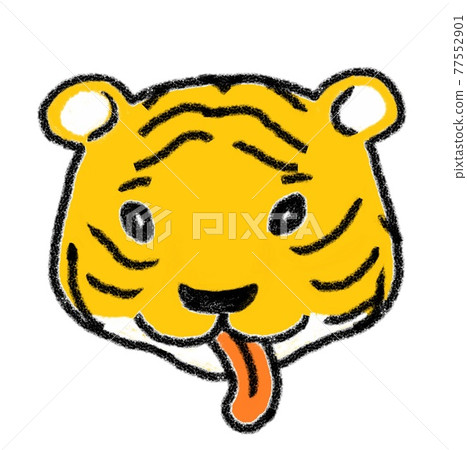 Baby tiger sticking out tongue 77552901