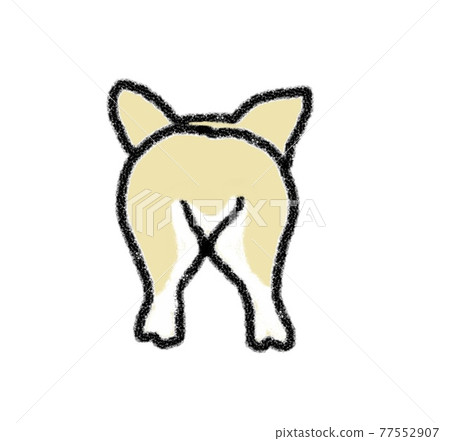 The back of a dog 77552907