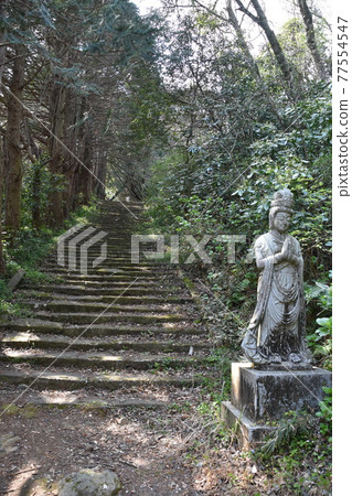 Shotaiji Koen surrounded by cedar forest Shotaiji Koen surrounded by cedar forest 77554547