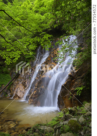 Mikataishi Kanzeon no Taki Metaki（福井縣三方上中區若狹町） 77554572