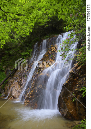 Mikataishi Kanzeon no Taki Metaki（福井縣三方上中區若狹町） 77554573