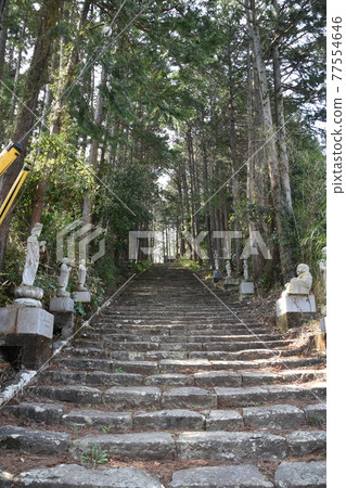 Shotaiji Koen surrounded by cedar forest Shotaiji Koen surrounded by cedar forest 77554646