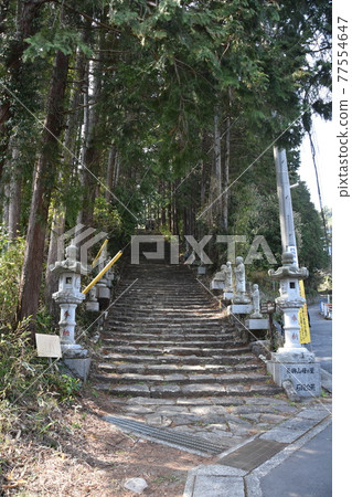 Shotaiji Koen surrounded by cedar forest 77554647