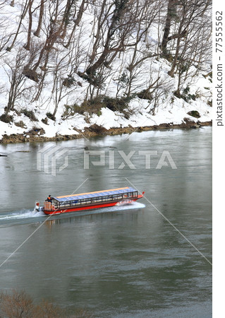 Mogami River in winter scenery 77555562