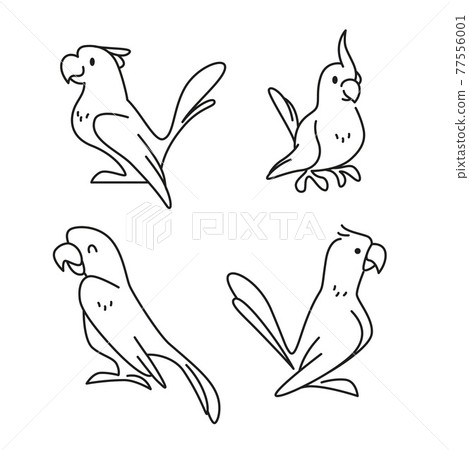 Collection of cute funny exotic macaw and ara parrots icons isolated on white background. 77556001