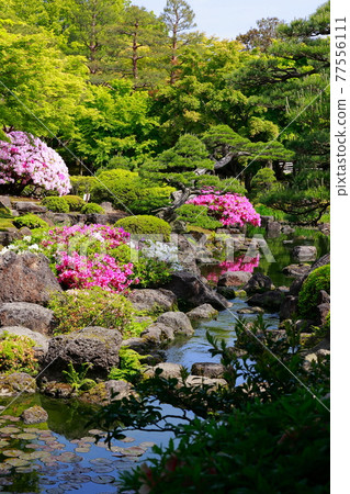 Spring Yushien Spring Yushien 77556111