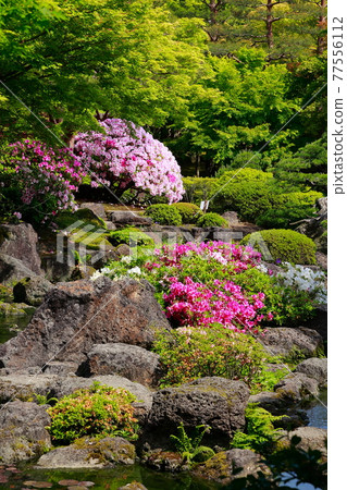 Spring Yushien Spring Yushien 77556112
