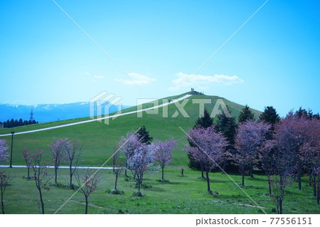 Superb view of Moerenuma Park Superb view of Moerenuma Park 77556151
