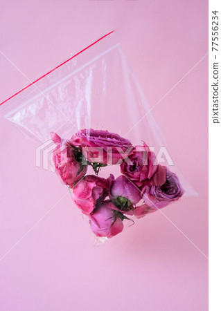 Environmental pollution concept. Flower in a plastic bag. Danger problem. Environmental conservation. Ecological lifestyle Environmental pollution concept. Flower in a plastic bag. Danger problem. Environmental conservation. Ecological lifestyle 77556234