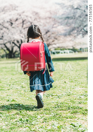 Elementary school entrance 77556565