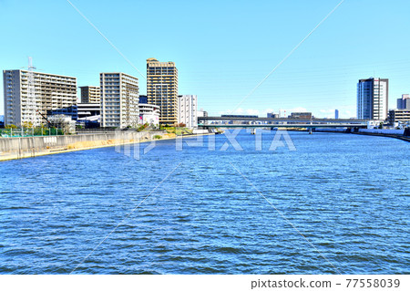View toward Ogu Bridge from Odai Bridge / Sumida River (Adachi-ku, Tokyo) [2020.11] 77558039