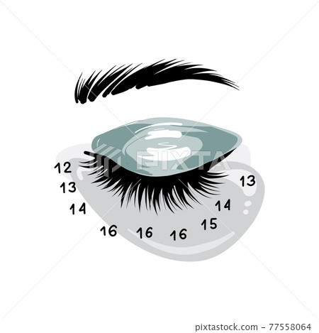 Eyelash extension art, lash mapping Beauty Cosmetics treatment, Professional beauty branding social Eyelash extension art, lash mapping Beauty Cosmetics treatment, Professional beauty branding social 77558064