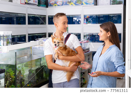 female and boy discuss the purchase of aquarium fish 77561311