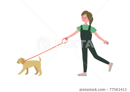Illustration of a girl walking a dog Illustration of a girl walking a dog 77561411