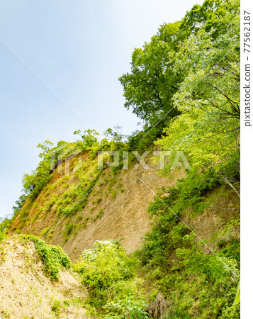 Spring scenery of Tama, Rokumai Byobu Rock in Akiruno 77562187