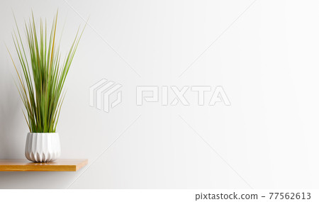 Interior design of living room with wooden shelf.  Wall decor with green grass in white plant pot. White wall with copy space. Modern home background. 3d rendering 77562613