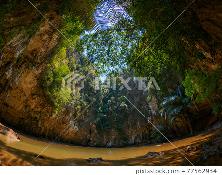 叢林中的潟湖（萊利，甲米，泰王國） 77562934