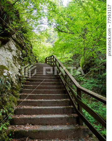 A view of the cool spring Shiraito Falls, stairs on the promenade A view of the cool spring Shiraito Falls, stairs on the promenade 77563117