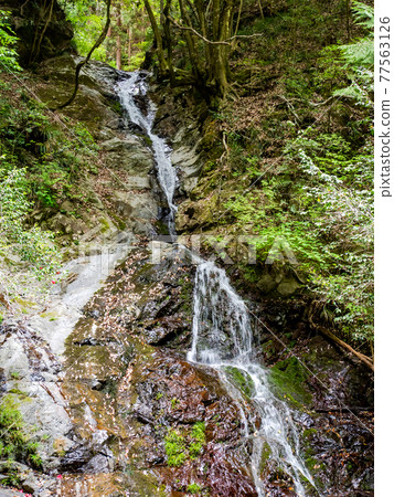 A view of the cool spring Shiraito Falls 77563126