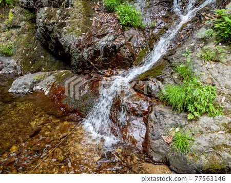 A view of the cool spring Shiraito Falls A view of the cool spring Shiraito Falls 77563146